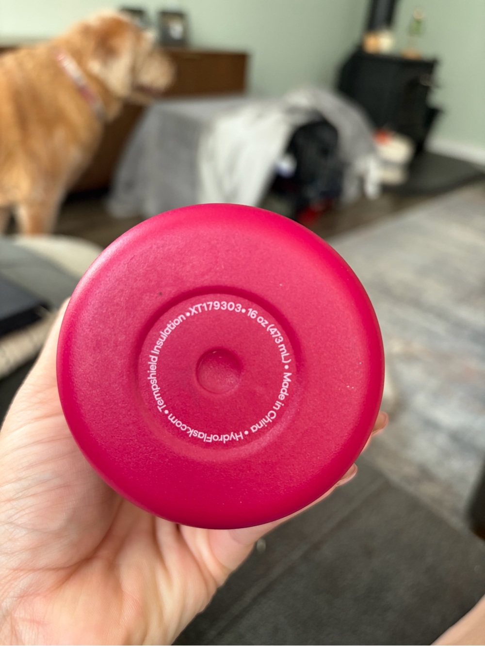 Hydro Flask Bright Raspberry Cooler Cup - Picture 3 of 5